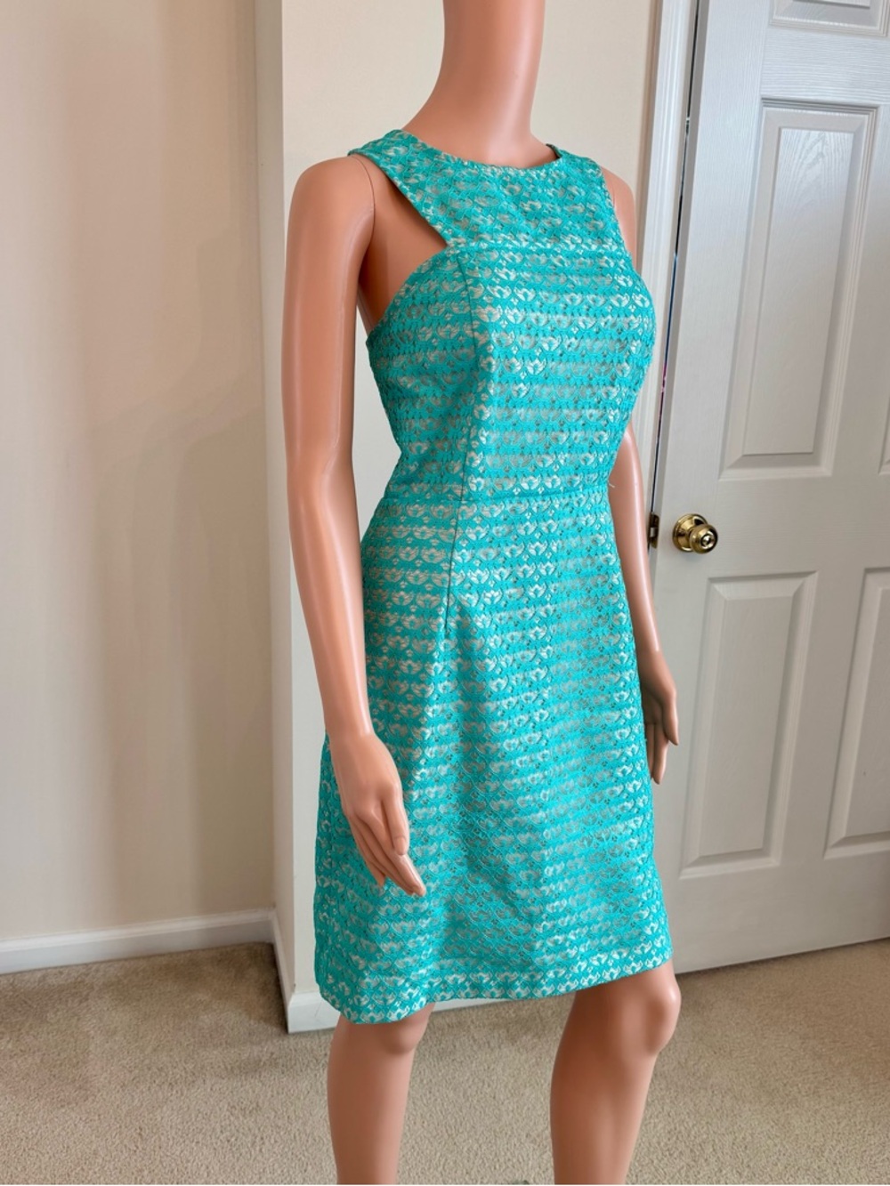 J Taylor Mint Green Lace Metallic Gold Sleeveless Romantic Dress Size 12